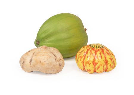 Coconut, gourd, and jicama