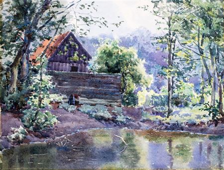 Study of a Shaded Pond