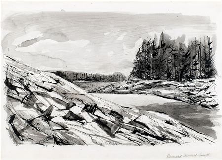 Maine Coast