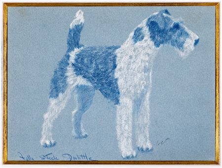 Wirehaired Fox Terrier