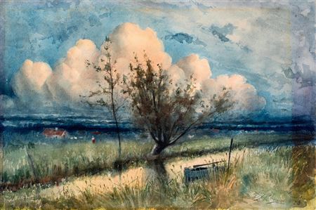 Summer Landscape