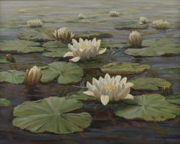 Water lilies