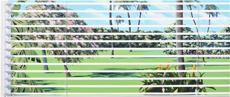 "Florida Window."