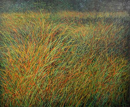 "Wetland in the Forest."
