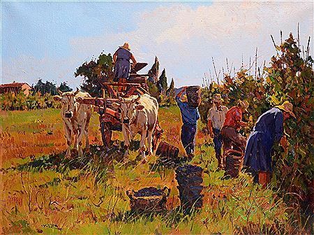 The grape harvest