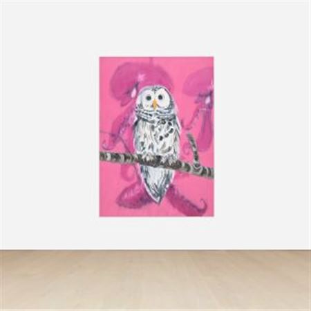 Owl (Barred Owl Looking), 2014
