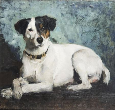 Dog Portrait