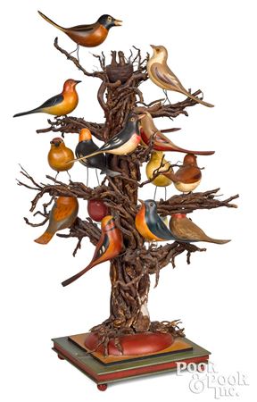 Root bird tree