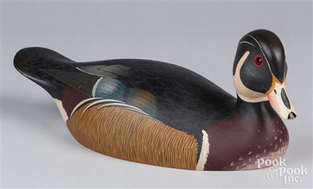 Duck Decoy