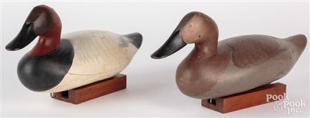 Pair canvasback duck decoys