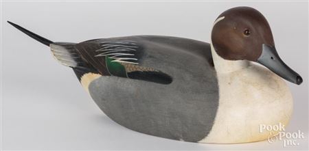 Pintail duck decoy