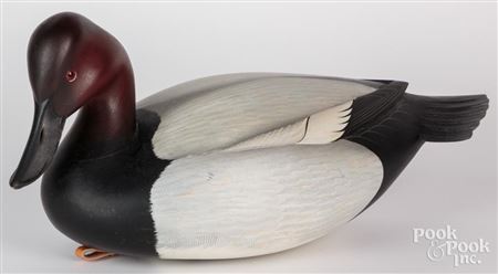 Canvasback duck decoy
