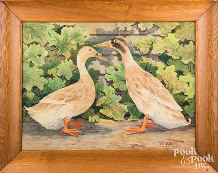 Pair of chickens and ducks