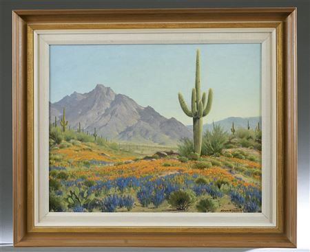 Desert landscape