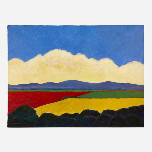 Mixed Fields