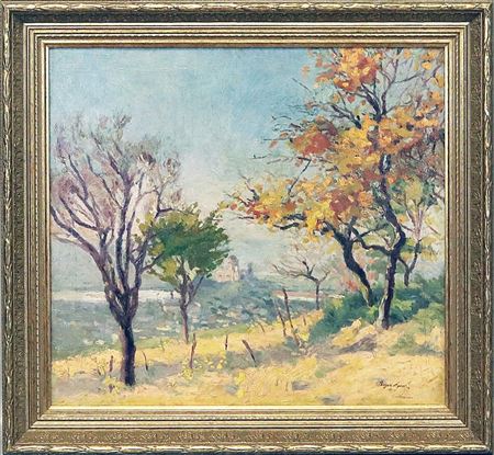 Summer landscape near "Esztergom"