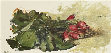 Radishes, 1988