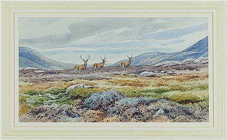 Three Stags, Wester Ross