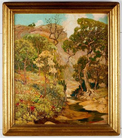 "Wild Flowers of Pola Duro Canyon"