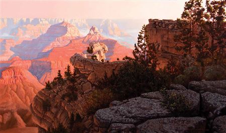 Canyon Sunrise