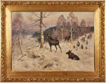 Winter landscape with moose in evening light