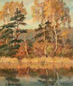 Autumn on the Warnow