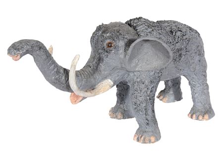 Wooly Mammoth
