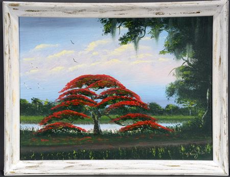 Poinciana