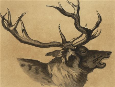 "Untitled (Stag), 1916"