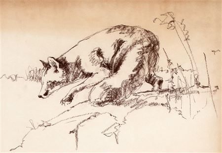 Untitled (Fox)