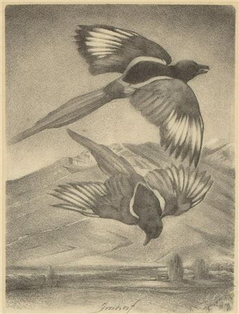 Untitled (Two Magpies)