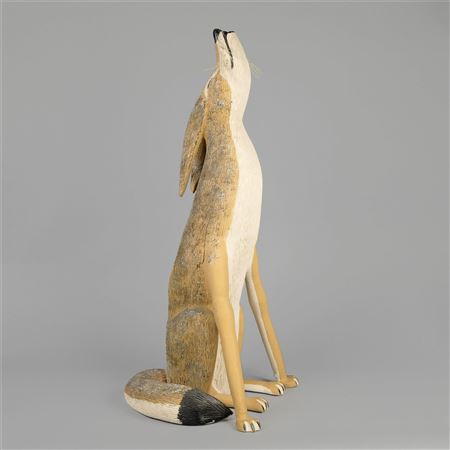 Coyote, 1982