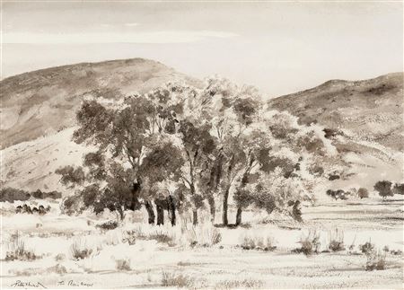 The Pecan Grove