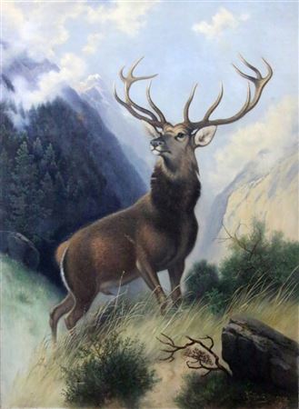 A dominant deer with twelve tines