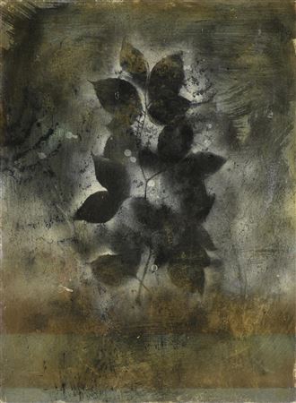 "Cove Hollow," NOVEMBER 1, 1995