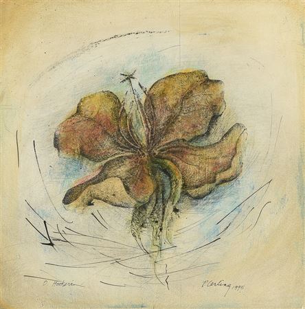 "O. Hookeri, Evening Primrose," 1995