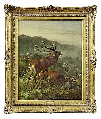 Red deer on a hill