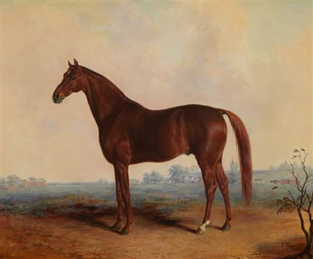 Henry in a Landscape