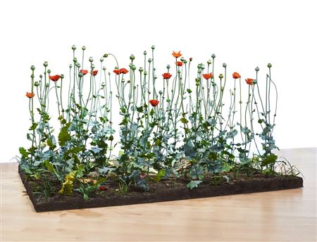 Crop (Poppy Field) by Roxy Paine - Auction record, sale price, and art valuation. Compare with similar artists and explore comparable artworks.