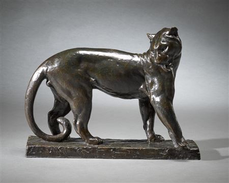 Panther Grooming