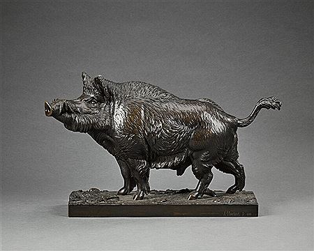 Wild Boar
