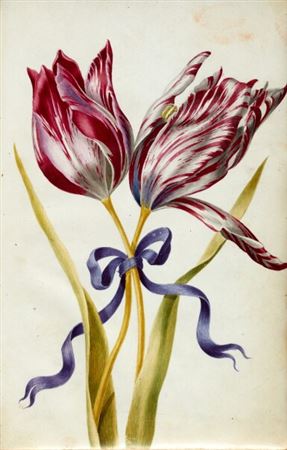 Sample artwork by Nicolas Robert (1614 - 1685), known for miniature paintings and vellums of rare plants and animals - View similar artists and auction records