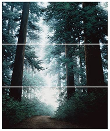 Condition-Light (set of 3)