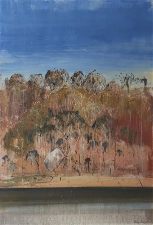 Shoalhaven River