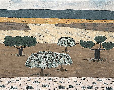 Landscape of holm oaks and silver olive trees. c. 1965