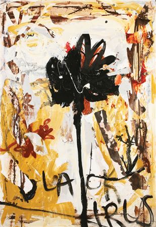 Black Iris, 2012