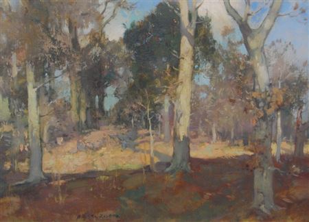 Anwoth Woods
