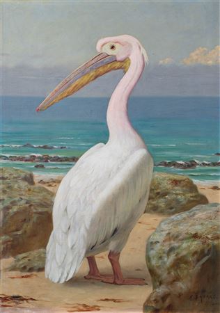 Pelican by Henry Stacy Marks - Auction record, sale price, and art valuation. Compare with similar artists and explore comparable artworks.