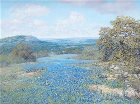 Bluebonnet Hills