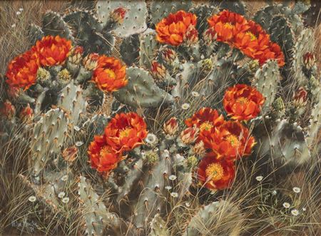 Cactus with Red Blooms, 1984